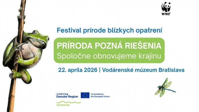 651042302 1361184662705574 1879187447404698807 n