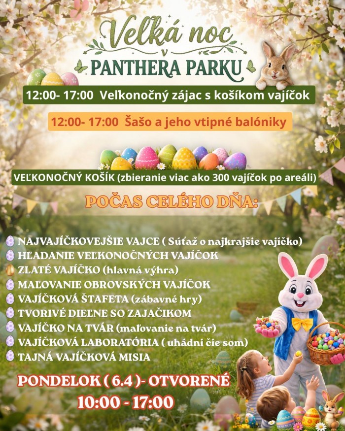 660106537 1109412788911262 7935654365823400326 n