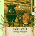 668823743 921520924121534 9015720237939067097 n