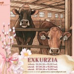 659904821 915034434770183 3420807332793888908 n