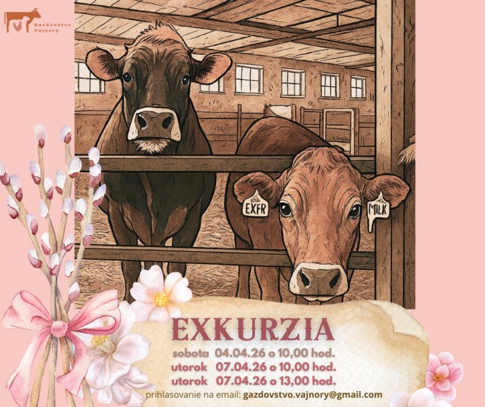 659904821 915034434770183 3420807332793888908 n