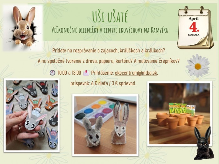 660552296 122253979382154823 7564029694673697928 n