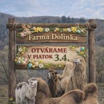 662380171 1358793842936809 1708467733084865269 n