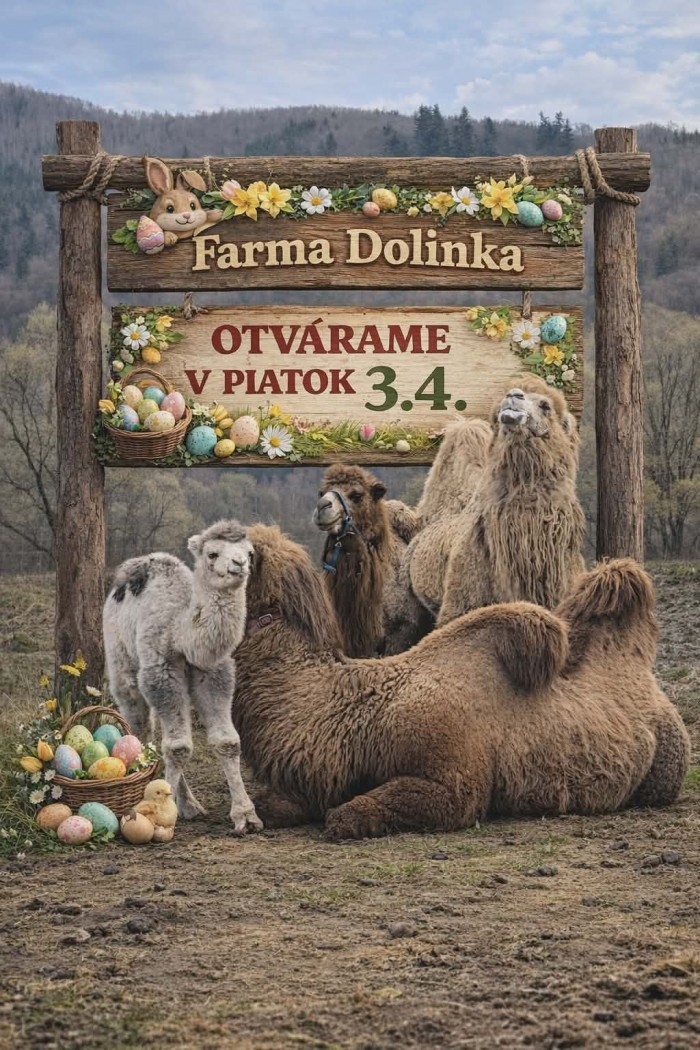 662380171 1358793842936809 1708467733084865269 n