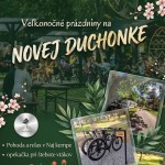 661219002 1594980539296511 7934747868243470571 n