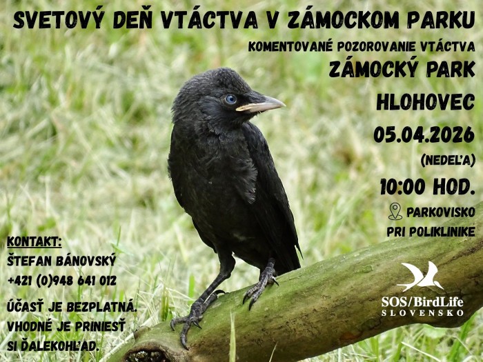 Svetovy de vtactva v zamockom parku HC