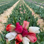 659073834 17956363581086776 1569516114559661222 n