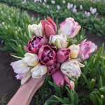 FB IMG 1775501673441