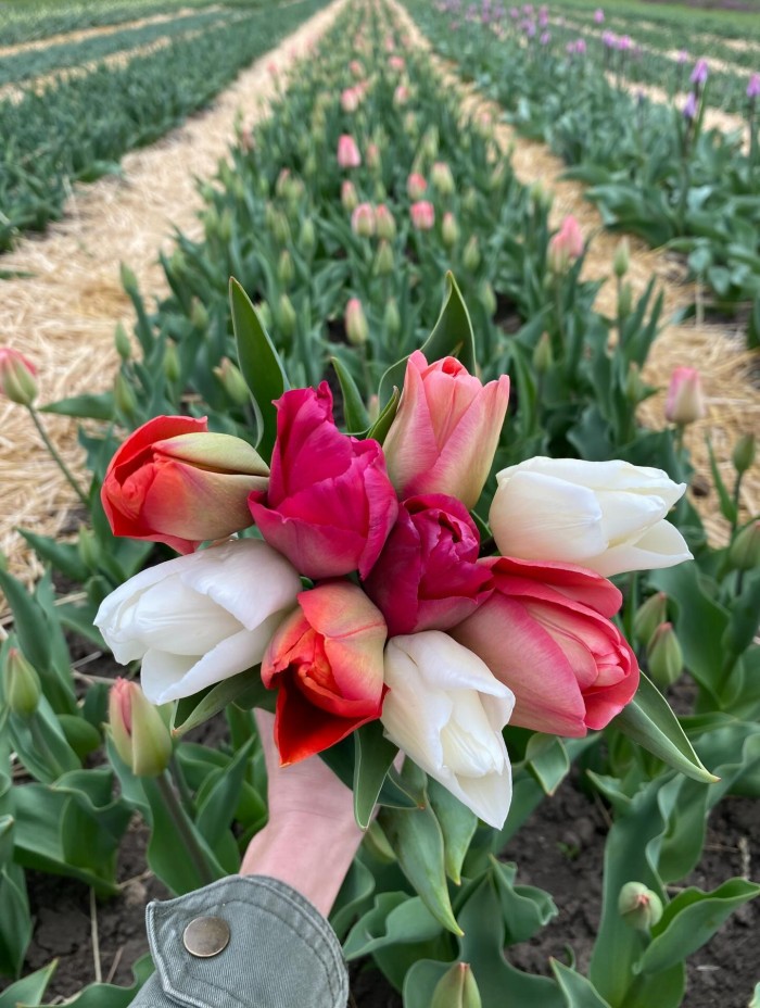 659073834 17956363581086776 1569516114559661222 n