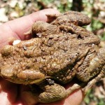 FB IMG 1775406493906