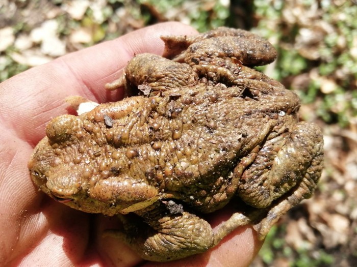 FB IMG 1775406493906