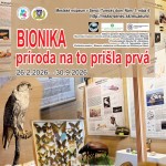 plagat bionika 2 ok ok ok email 848x1200