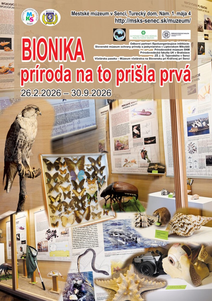 plagat bionika 2 ok ok ok email 848x1200