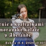 668385658 1325776672932066 450272421852982320 n