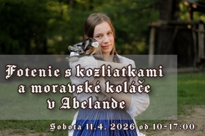 668385658 1325776672932066 450272421852982320 n