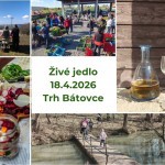 661246577 870180586083101 6344030814115752888 n