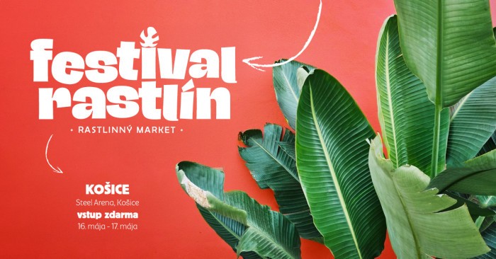 668721995 122217502100355350 2907672003766942189 n