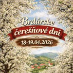 l 668745448 932191779698640 7476483940428847982 n