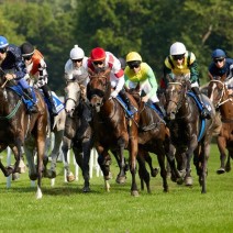 7e7bf73a ceb9 46a4 acaf 9c6072ed6d16