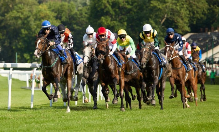 7e7bf73a ceb9 46a4 acaf 9c6072ed6d16