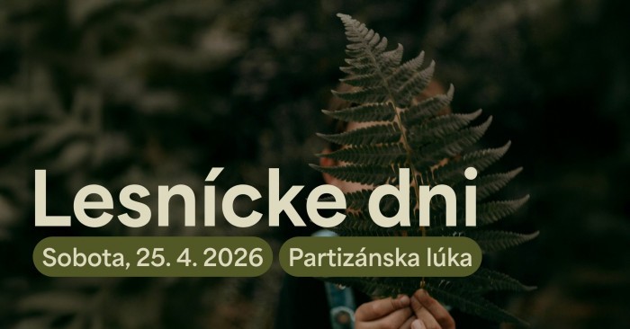 669418106 1240265058233385 9193749179408589136 n