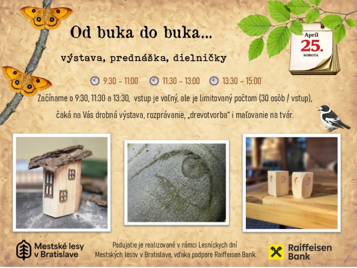 670840138 122255859740154823 6635211126576271136 n 1