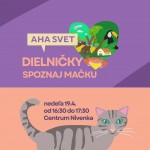 670272449 10167155725725130 540032559310596141 n