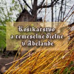 672996771 1331110985731968 2610221630597800526 n