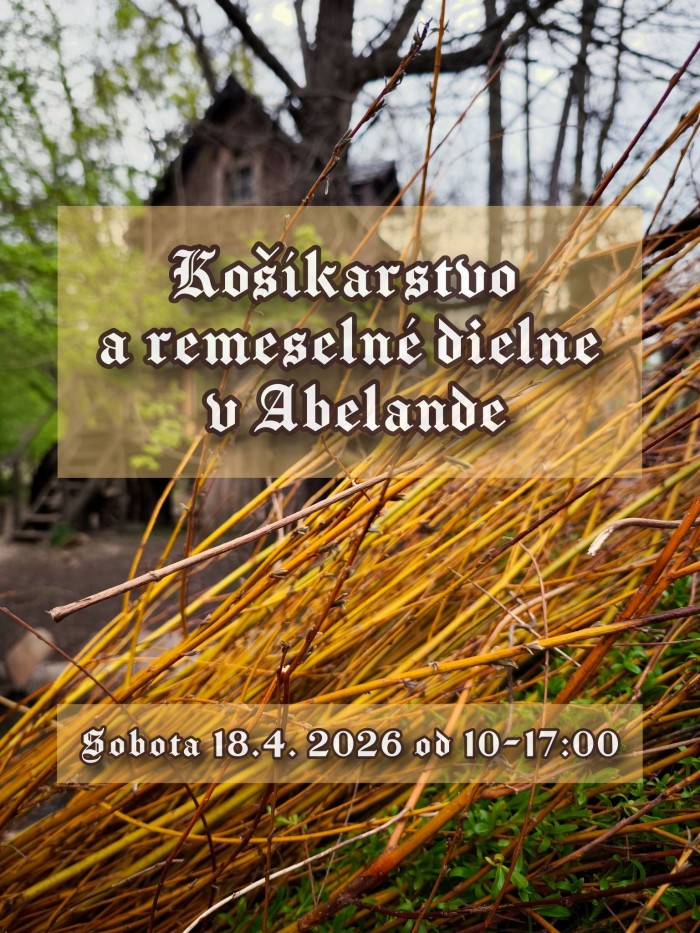 672996771 1331110985731968 2610221630597800526 n