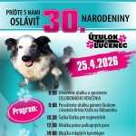 671243682 1675480837338838 7848689779527069883 n