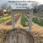 672677405 122287335872190040 4385142688690912732 n