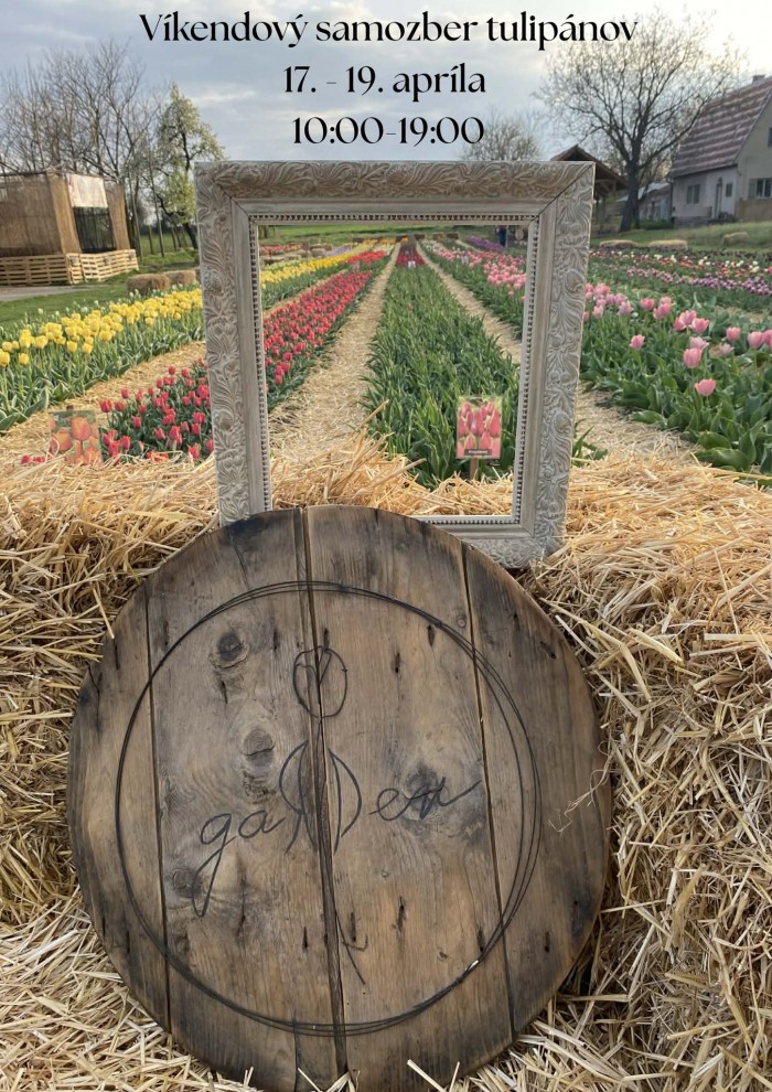 672677405 122287335872190040 4385142688690912732 n