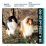 FB IMG 1776455064747