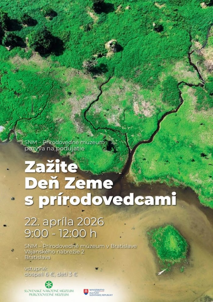 669203277 1470559824859614 4462901658033666383 n