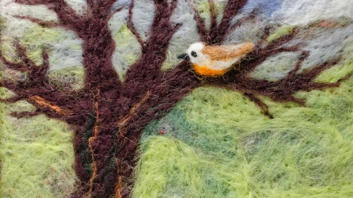 671563564 1369941715166036 789403110882904521 n