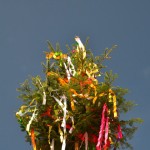 502688386 1279936807468231 6172557482314392589 n