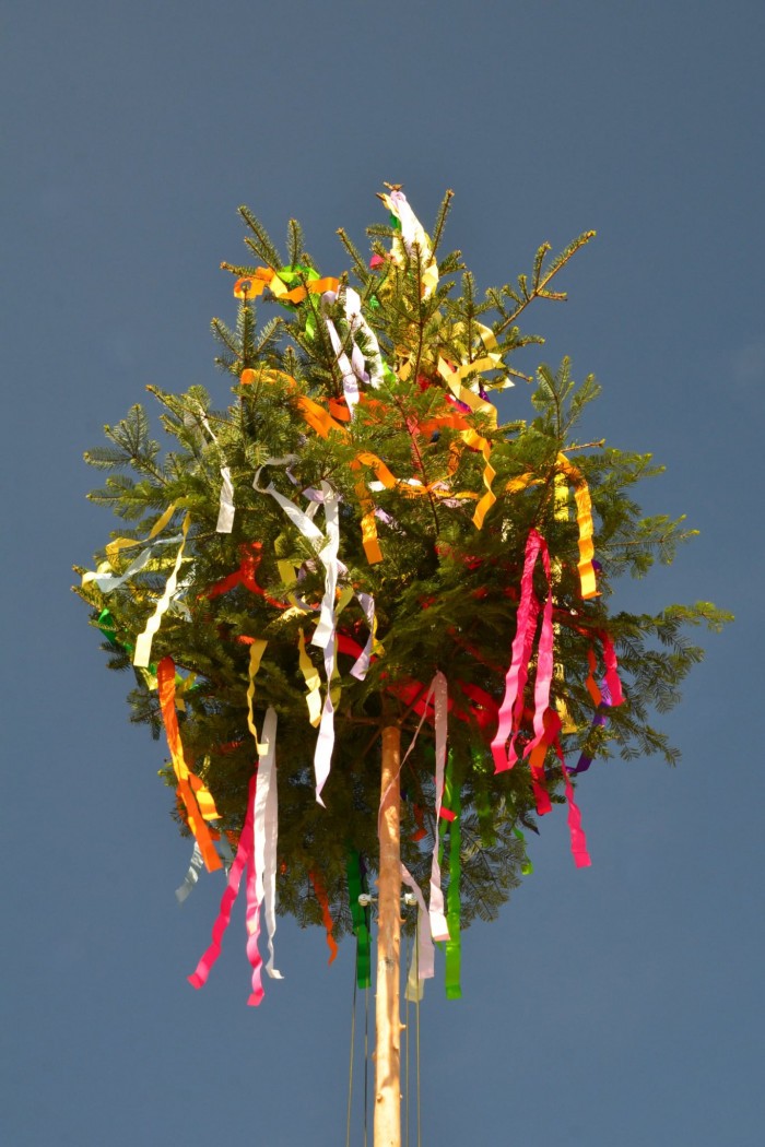 502688386 1279936807468231 6172557482314392589 n