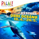 669832846 1392951432860333 1126730192717593392 n