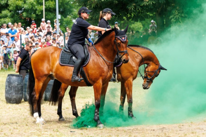 R62 4641 2048px 768x512