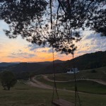 682420015 122313188414230157 8083256211741470412 n