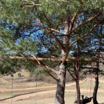 682677812 122313188528230157 5931885969322327448 n