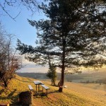 682788830 122313188720230157 4453797827454412511 n