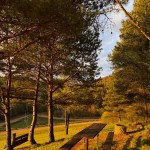 683509197 122313187832230157 2676906203704448076 n