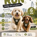 bf0d3db5 73f5 47b1 a9fc 5484fc6dc4aa