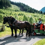 204 9182 web Trattlerhof 06 2025 by Gert Perauer