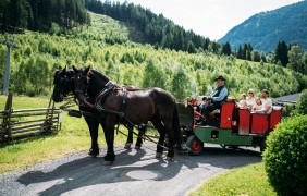 204 9182 web Trattlerhof 06 2025 by Gert Perauer