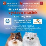 683260633 10237287181776829 6544553443245511393 n