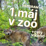 683211867 1570054365127935 2959587963133197085 n