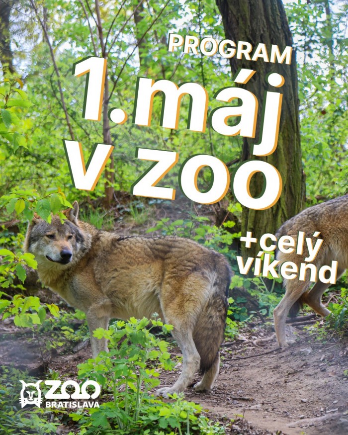 683211867 1570054365127935 2959587963133197085 n