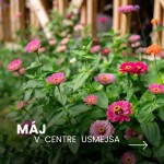 maj centrum usmejsa